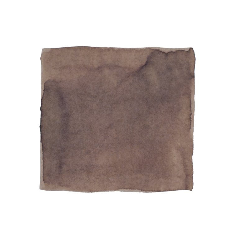 PENBBS No.390 Guilin City - 2ml Ink Sample