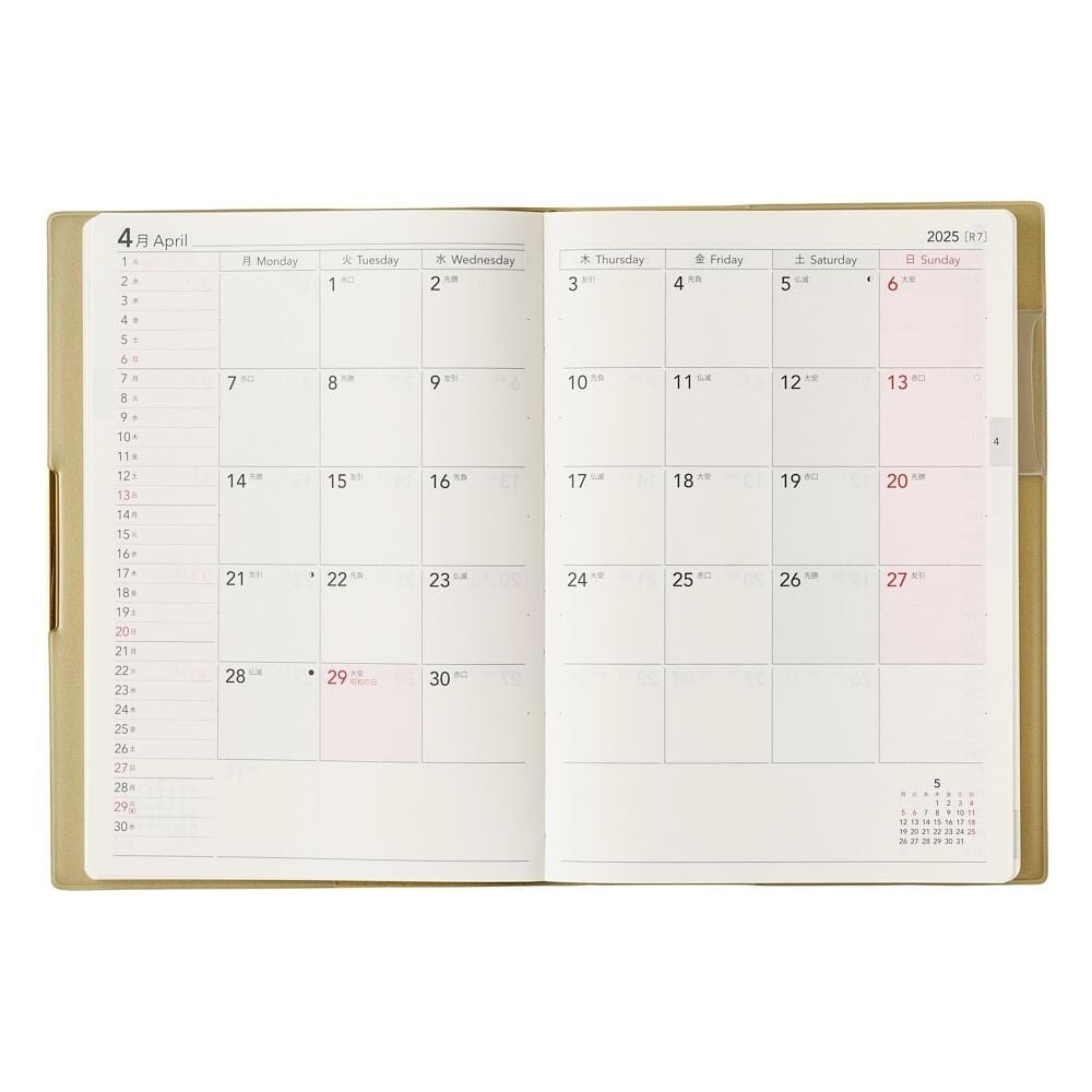 Nolty 2025 Ecri Plus 8 Weekly Planner - B6 (Pistachio) Planners