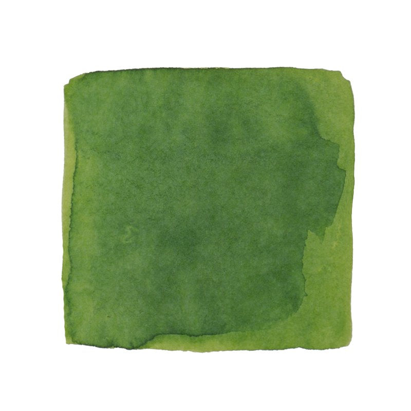 PENBBS No.509 Grain in Ear - 2ml Ink Sample