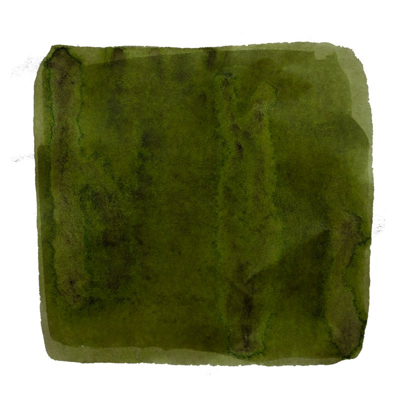 Tono &amp; Lims Mebuki (芽) - 30ml Bottled Ink