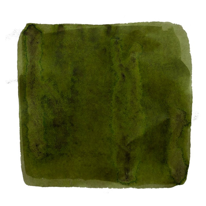 Tono & Lims Mebuki (芽) - 30ml Bottled Ink