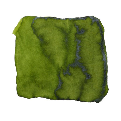 Kobe No.67 Ogo Farm Green - 2ml Ink Sample