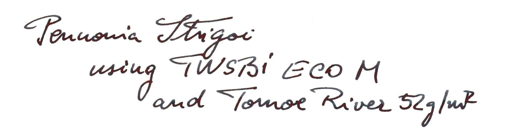 Pennonia Strigoi (Limited Edition) - 2ml Ink Sample