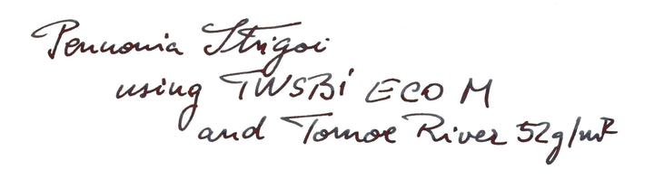 Pennonia Strigoi (Limited Edition) - 2ml Ink Sample