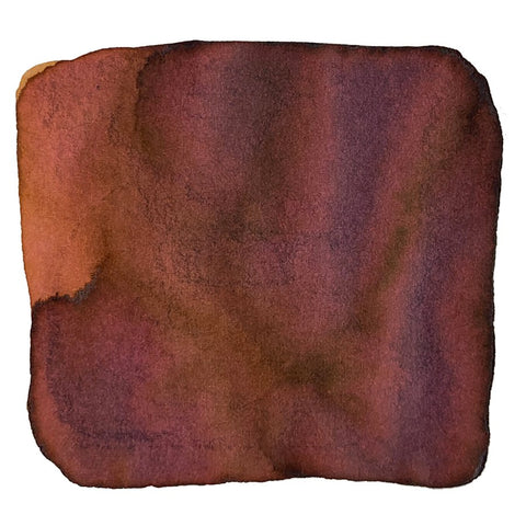 Ink Studio #573 - 2ml, a watercolor-style swatch in warm rusty tones, showcasing Sailor's curated dye-based ink collection.