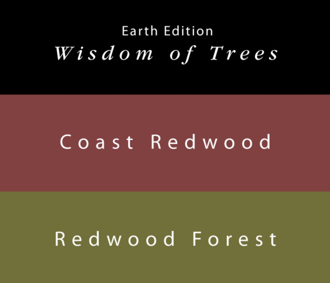 Coast Redwood &amp; Redwood Forest - 65ml + 15ml Set featuring ink swatches: reddish-brown Coast Redwood and olive-green Redwood Forest, with Earth Edition branding.