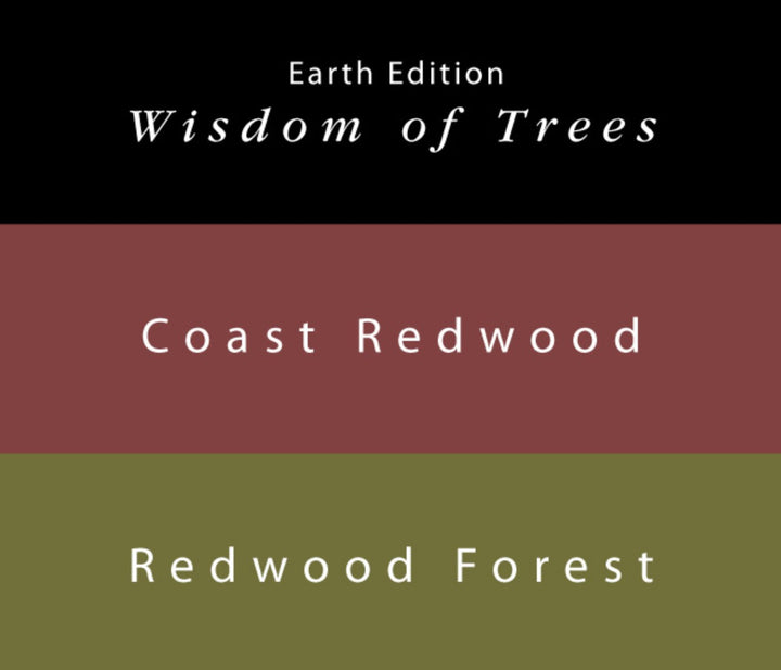 Coast Redwood & Redwood Forest - 65ml + 15ml Set featuring ink swatches: reddish-brown Coast Redwood and olive-green Redwood Forest, with Earth Edition branding.