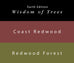 Coast Redwood & Redwood Forest - 65ml + 15ml Set featuring ink swatches: reddish-brown Coast Redwood and olive-green Redwood Forest, with Earth Edition branding.