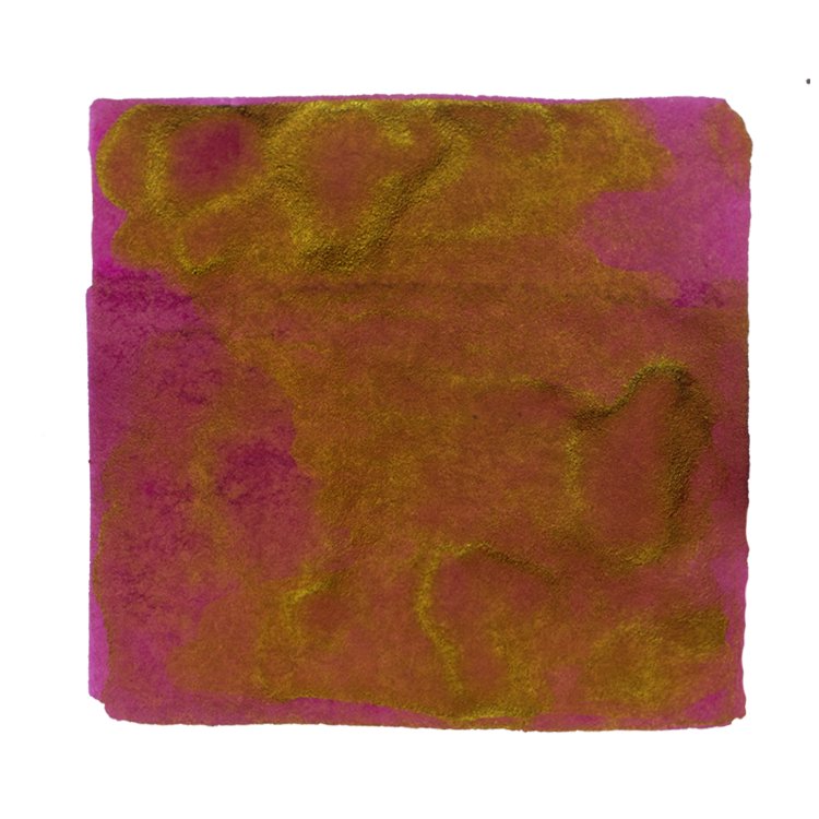 Troublemaker Inks Adarna - 60ml Bottled Ink