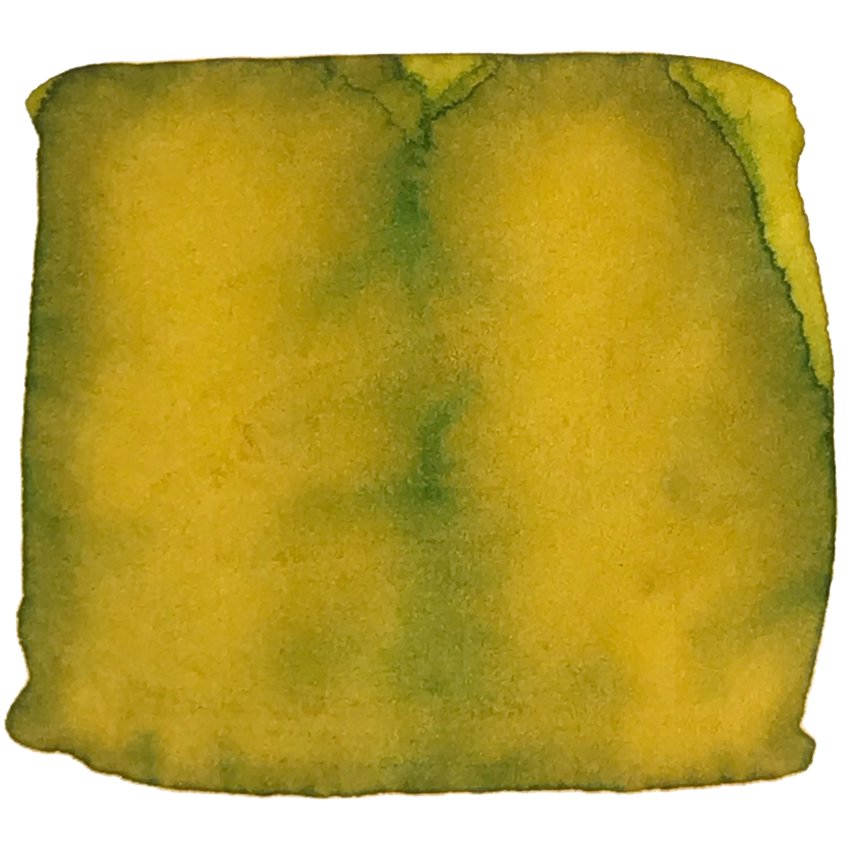 Golden-yellow ink swatch on paper, showcasing the Adobe - 2ml sample from Colorverse x Opus 88 Series, highlighting plant-based, dye-based quality.