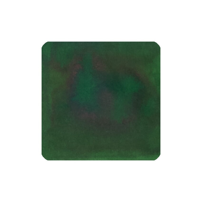 Diamine Amazonia (Forever Ink) - 50ml Bottled Ink