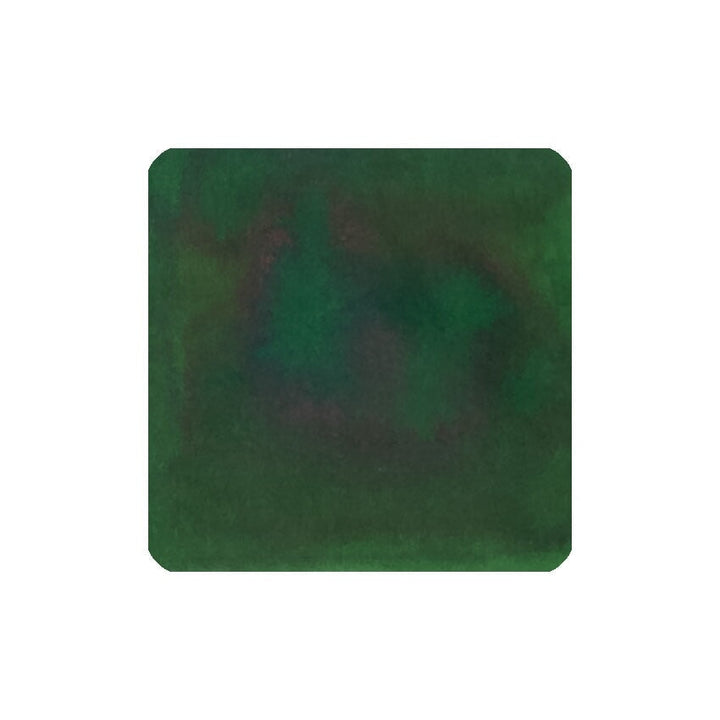 Diamine Amazonia (Forever Ink) - 50ml Bottled Ink