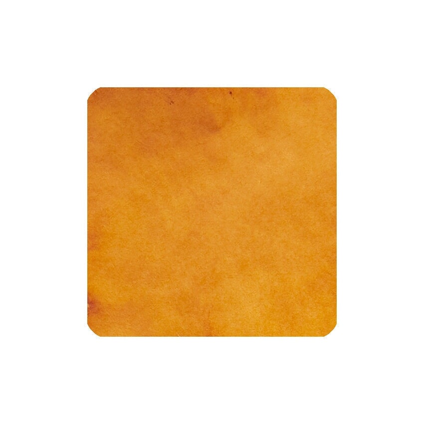 Jacques Herbin Ambre de la Baltique (The Essentials) - 2ml Ink Sample