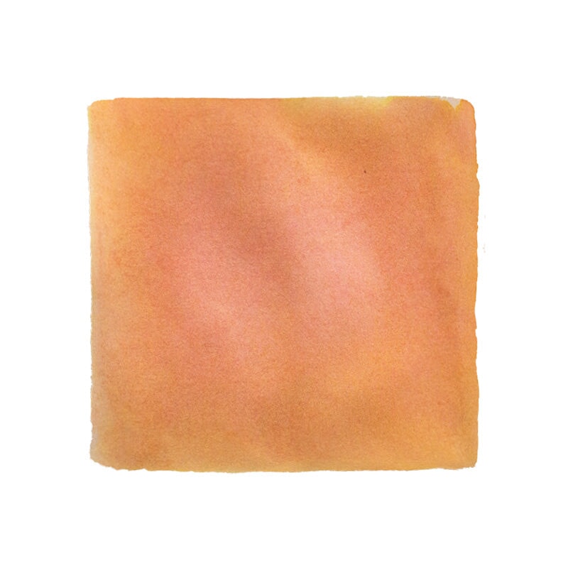 Collection Traced Apricot - 25ml Bottled Ink