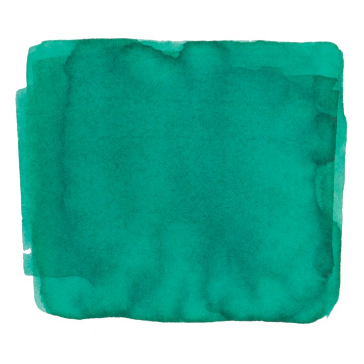 Color Traveler Takehara Bamboo Green - 30ml Bottled Ink