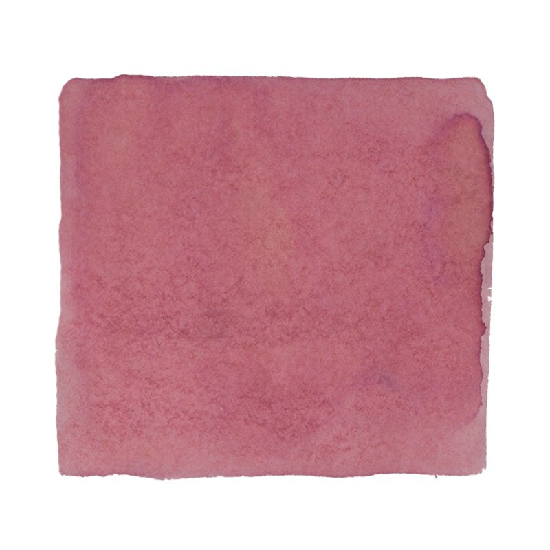 Colorverse Project Ink No.009 α Boo - 65ml Bottled Ink