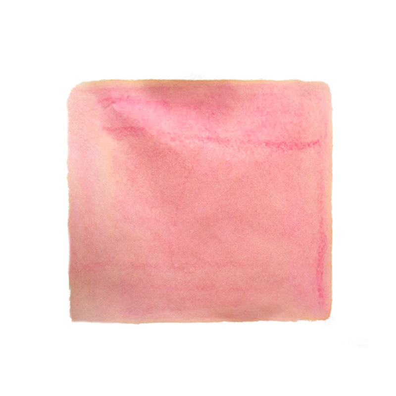 Ink Institute Cat at Noon - 30ml Bottled Ink