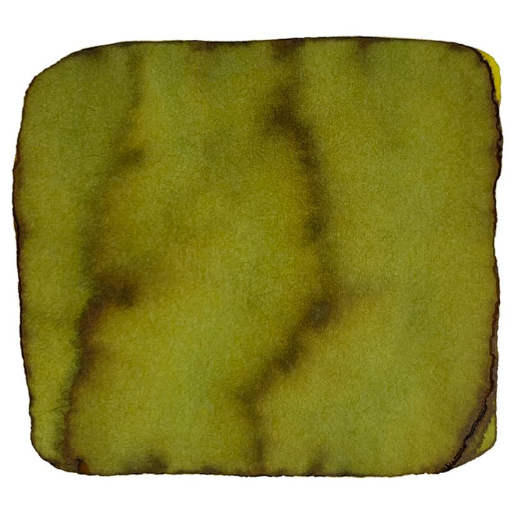 Robert Oster Chartreuse - 2ml Ink Sample