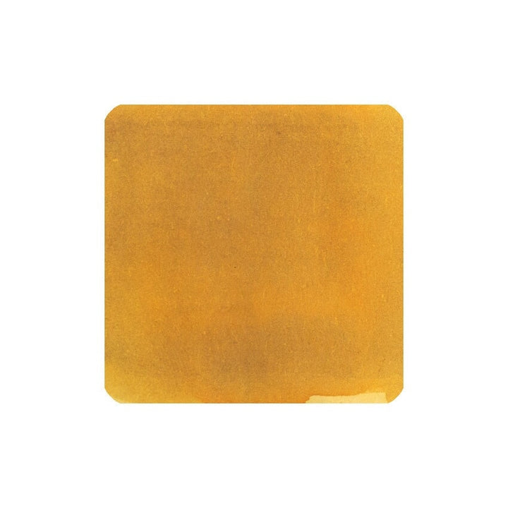 Deer's Song - 20ml fountain pen ink by Fanyantan, shown as a mustard-yellow swatch with a subtle watercolor texture, highlighting its artistic depth.
