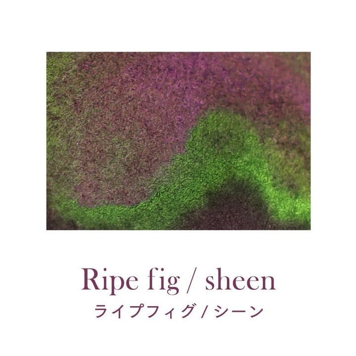 Sailor Dipton Ink Ripe Fig - 2ml Ink Sample