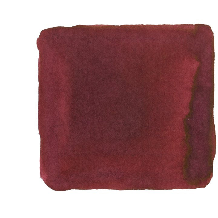 Colorverse Project Ink No.004 Dirty Red - 65ml Bottled Ink