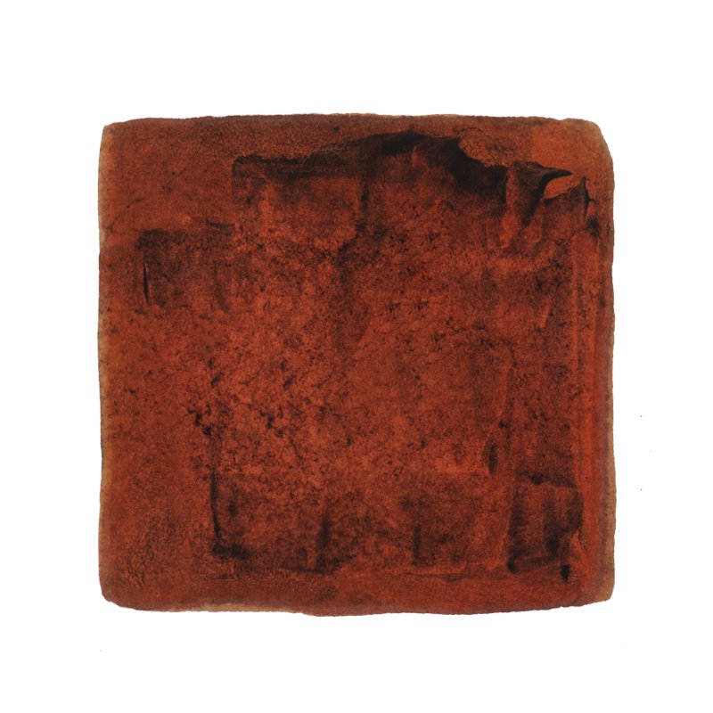 Pennonia Draculea (Limited Edition) - 2ml Ink Sample