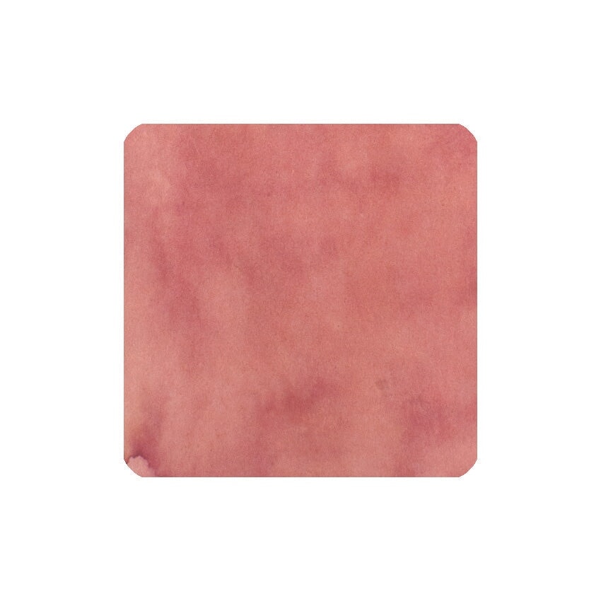 Fanyantan Early Spring Cherry Blossom Cookies fountain pen ink, 30ml—muted pink watercolor texture, perfect for artistic expression and writing, available at Desk Bandit.