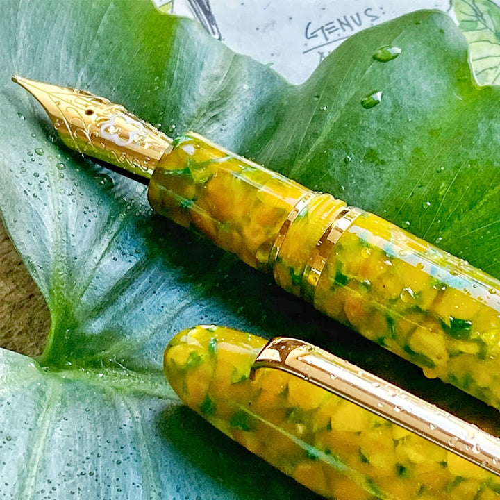Esterbrook Estie - Rainforest / Gold - Broad Fountain Pen