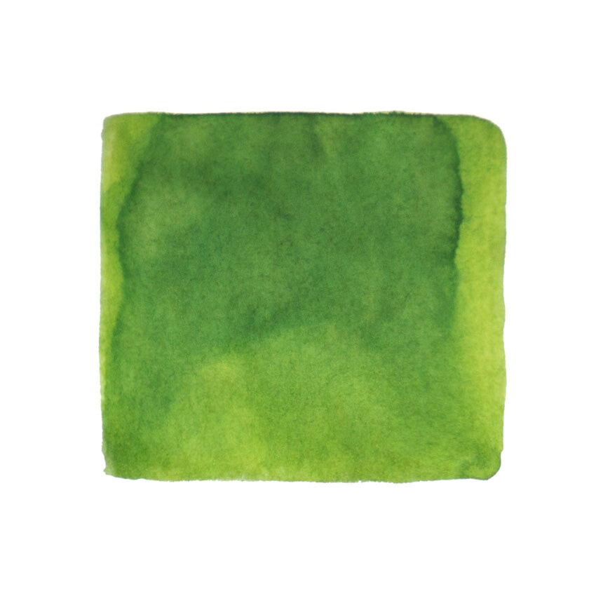 Robert Oster Frankly Green - 50ml Bottled Ink