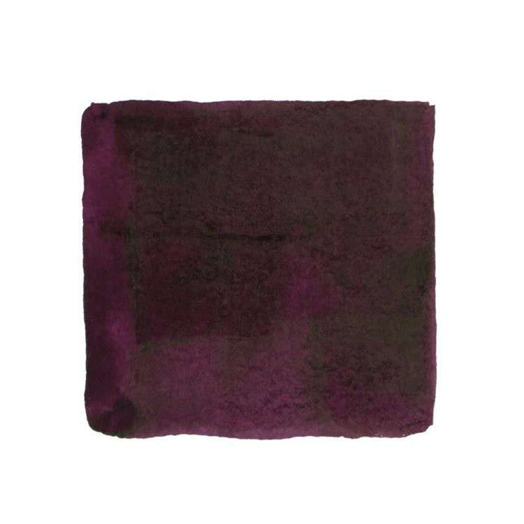 Troublemaker Inks Freedom Park Rose - 60ml Bottled Ink