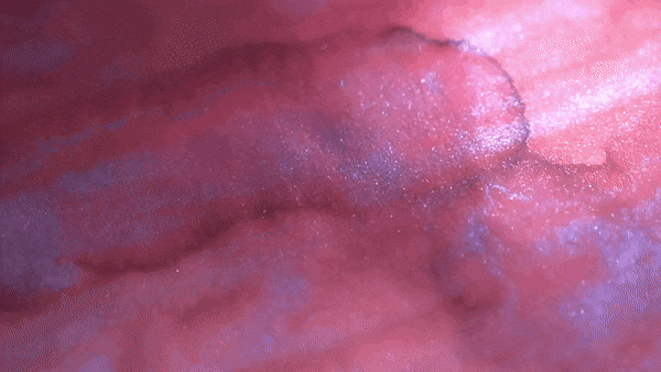 Colorverse Halo Ring & Dust of Adrastea - 2ml Each Set Ink Sample