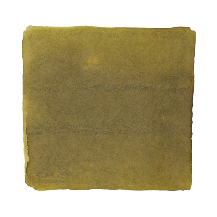 Ferris Wheel Press Ink Charger Set - The Moss Park Collection Bottled Ink