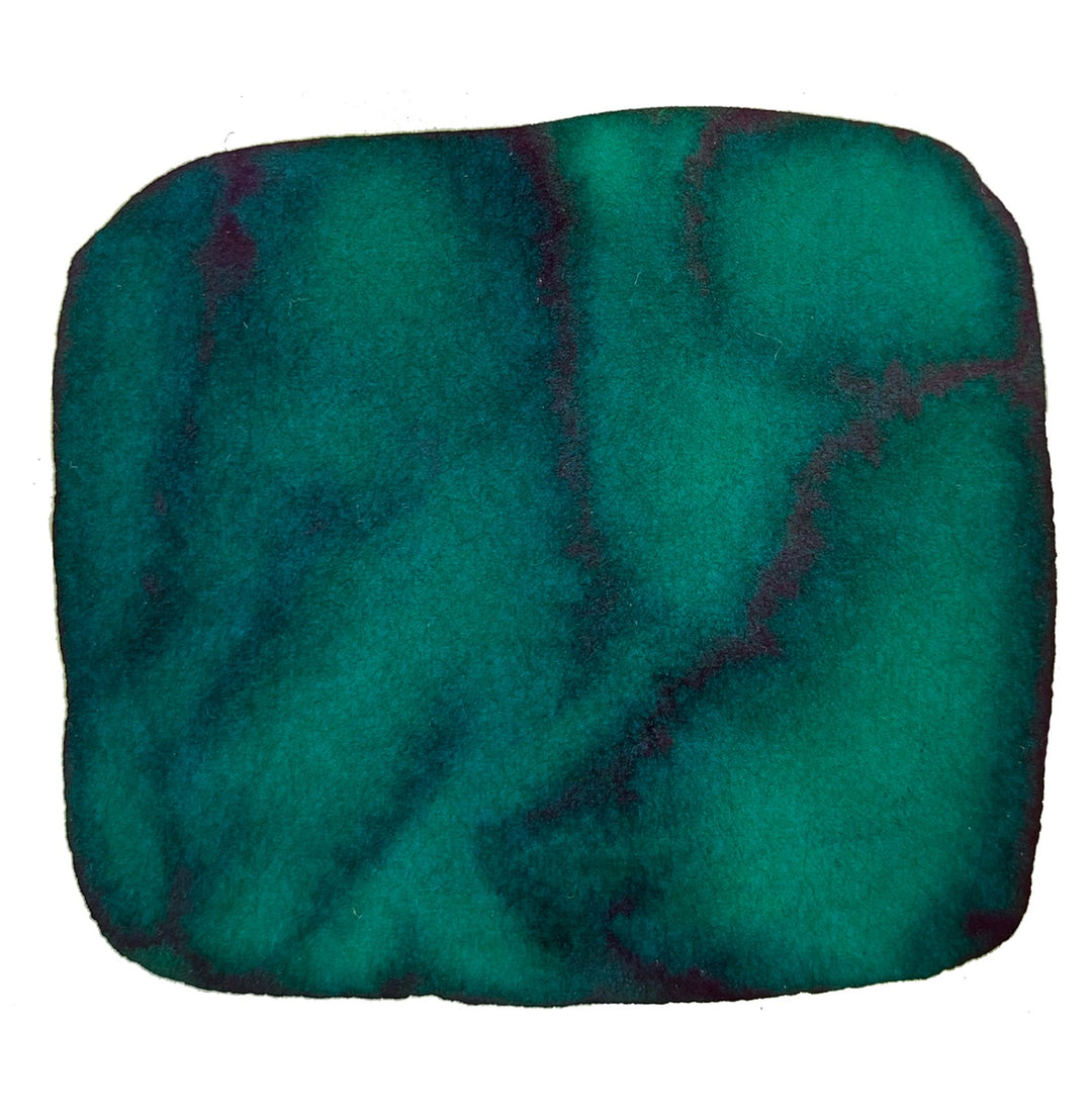 Colorverse Green - 30ml Bottled Ink