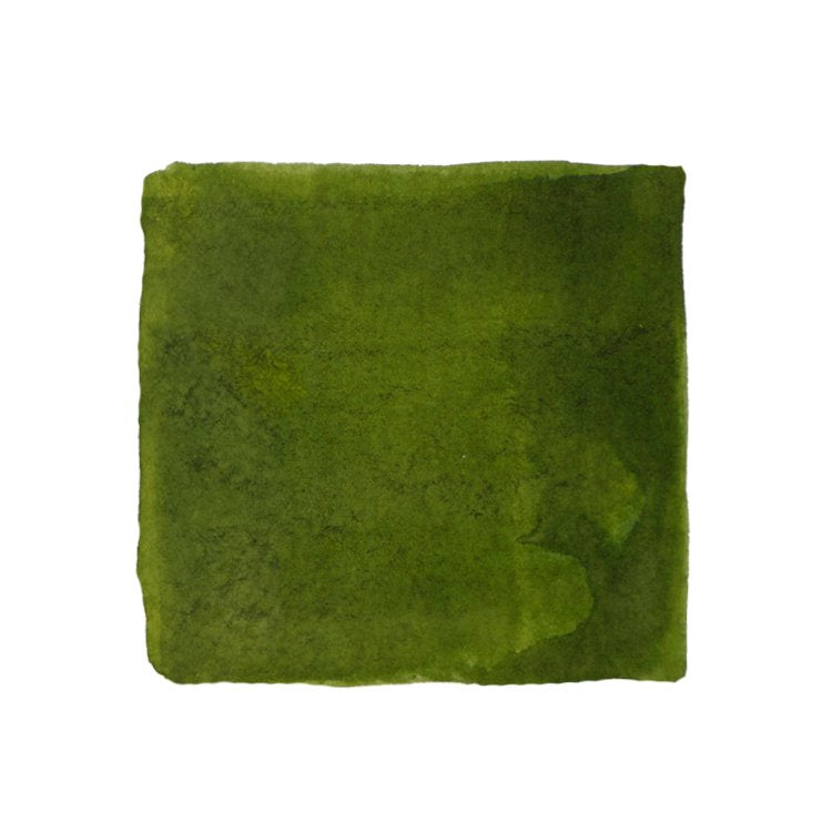 Troublemaker Inks Hanging Rice - 60ml Bottled Ink