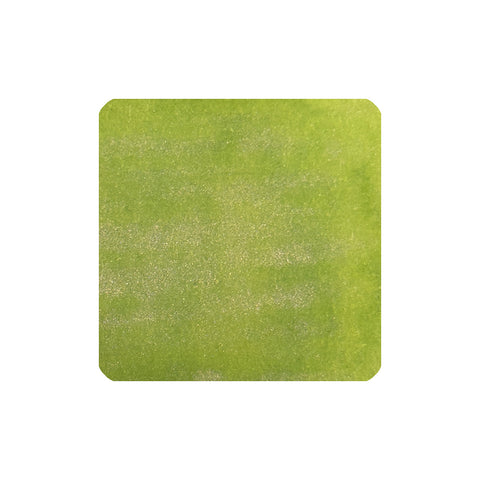 Heian (Shimmer) - 2ml ink sample; solid lime-green swatch texture representing Tono & Lims' vibrant, experimental ink from the 'Time Travel' series.
