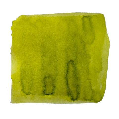 Hyogo (True Story) - 2ml ink, features a chartreuse watercolor wash on white, showcasing Tono & Lims' dye-based collection from South Korea.