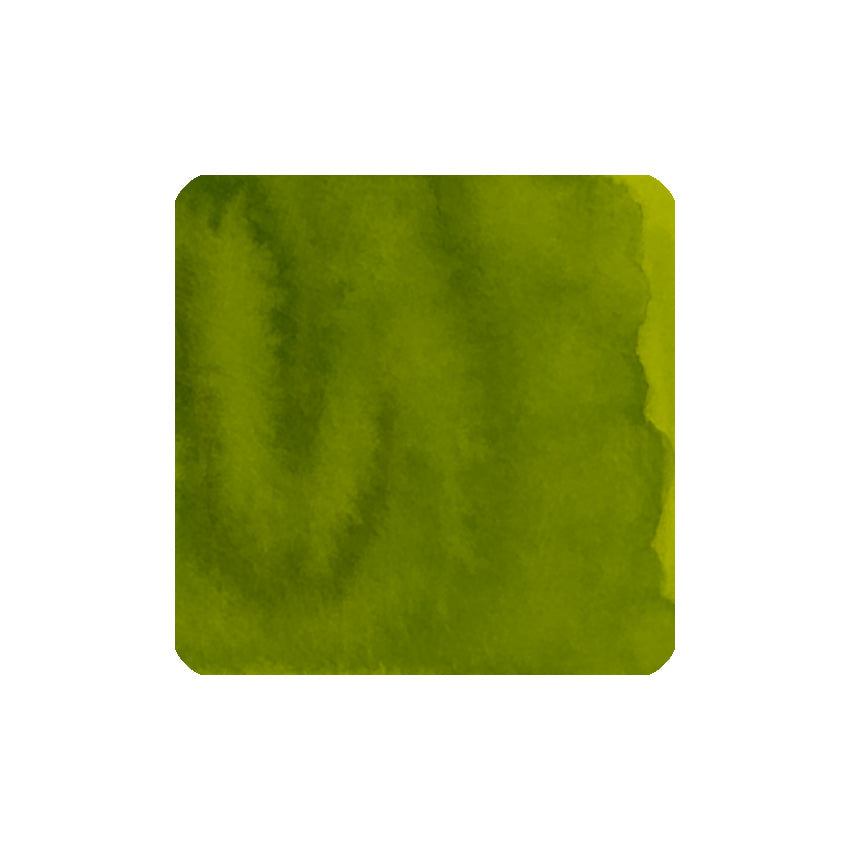 Hyper Green (Forever Ink) - 50ml: Olive-green textured swatch showcasing Diamine's permanent, waterproof fountain pen ink, ideal for lasting writing and artwork.