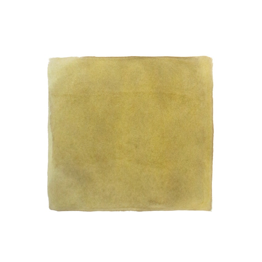 Color Traveler Kanonji Sand Beige - 30ml Bottled Ink