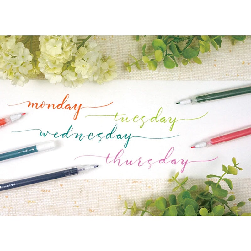 Kuretake Karappo Empty Felt Tip Pen (Brush Fine) Calligraphy Pens