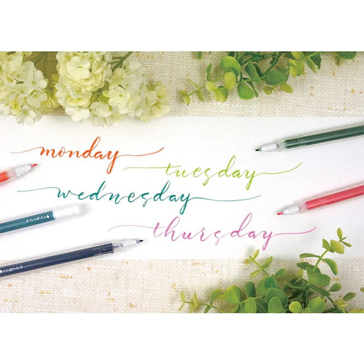 Kuretake Karappo Empty Felt Tip Pen (Brush Fine) Calligraphy Pens
