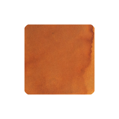 Fanyantan x FLOWS12 Kitty Snake fountain pen ink sample, 2ml, showing a warm, textured reddish-brown swatch, ideal for adding depth to your writing or art.
