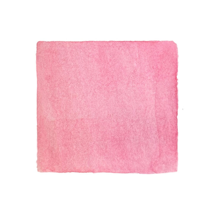 Ferris Wheel Press Malibu Blush - 38ml Bottled Ink