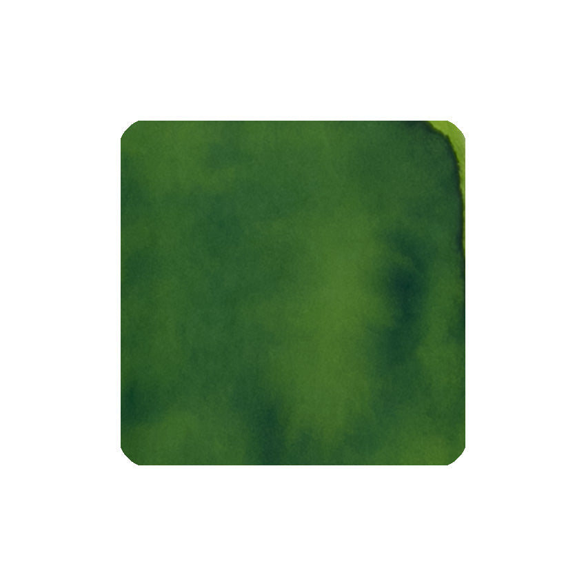 Meadow - 30ml Bottled Ink by Diamine, a reliable fountain pen ink with a smooth flow, suitable for vintage pens.