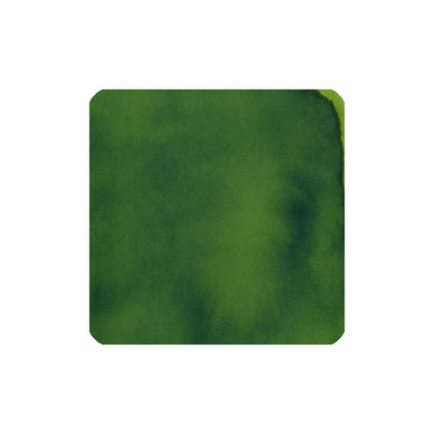 Meadow - 30ml Bottled Ink by Diamine, a reliable fountain pen ink with a smooth flow, suitable for vintage pens.