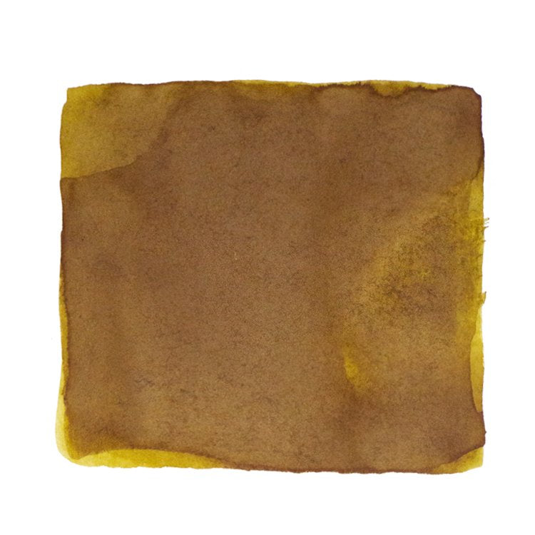 Robert Oster Muddy Bucket - 50ml Bottled Ink
