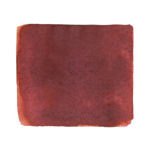 Robert Oster Muddy Dragon - 2ml Ink Sample