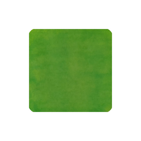 My Americano - 2ml fountain pen ink, a vibrant green shade from the Coffee Collection by Fanyantan and Flows12, perfect for artistic expression.