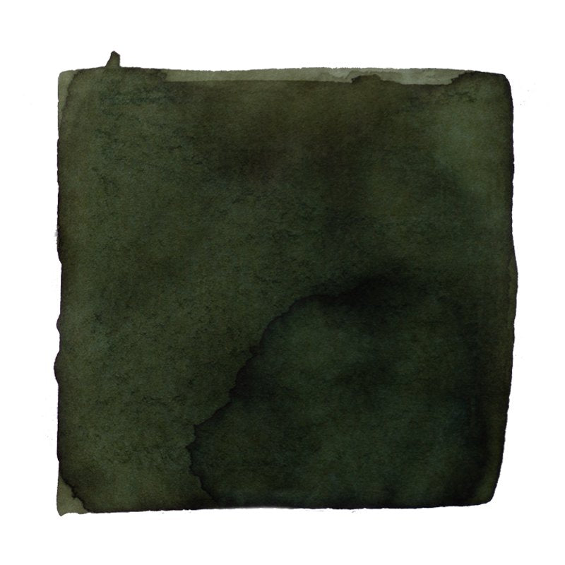 Abstract watercolor wash of dark olive-green pigment, representing Tono & Lims ink No.12 Under the Peaceful Light of the Spring Sun, 30ml.