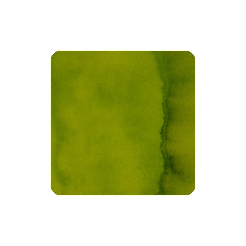 Ishimaru Bunkoudou No.72 Ever Green - 23ml Bottled Ink