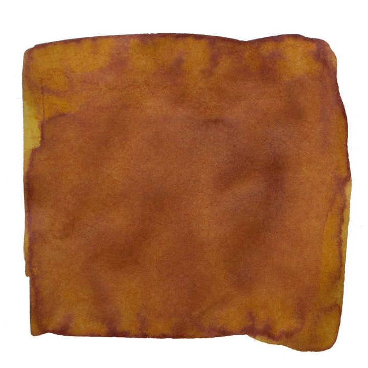 Tono & Lims No.8 Leaves Turn Yellow - 30ml Bottled Ink